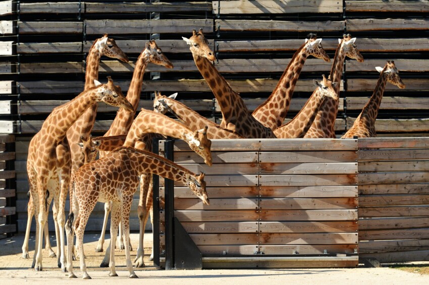 Parque Zoológico de París