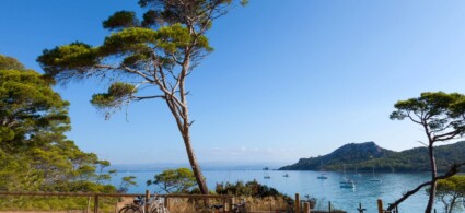 Porquerolles: Come Arrivare, Dove Dormire E Spiagge - Franciaturismo.net